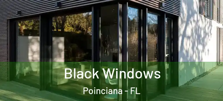  Black Windows Poinciana - FL