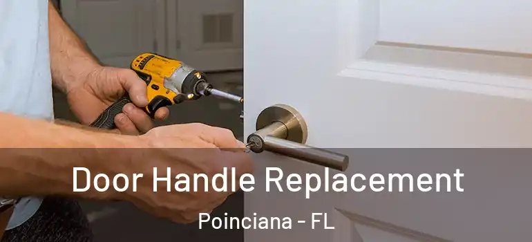  Door Handle Replacement Poinciana - FL