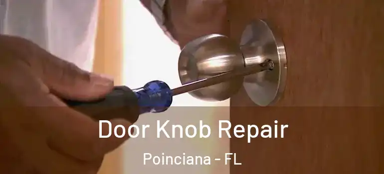  Door Knob Repair Poinciana - FL