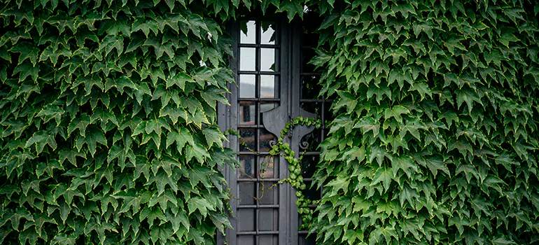 Garden Gate Repair in Poinciana, FL