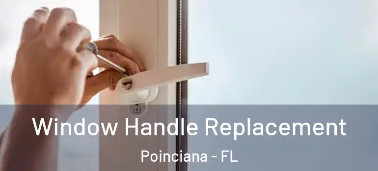  Window Handle Replacement Poinciana - FL