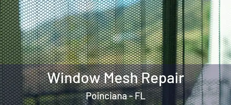  Window Mesh Repair Poinciana - FL