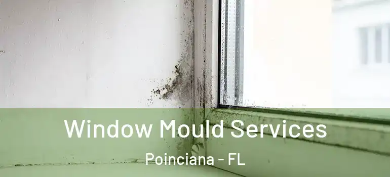  Window Mould Services Poinciana - FL